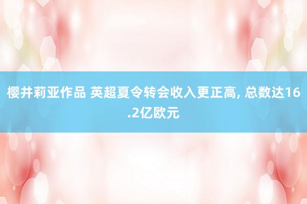 樱井莉亚作品 英超夏令转会收入更正高， 总数达16.2亿欧元