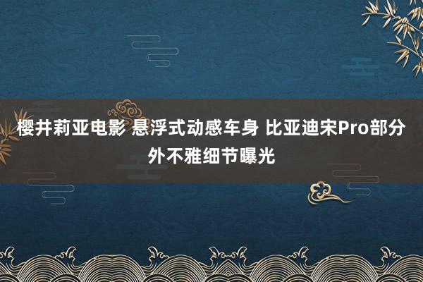 樱井莉亚电影 悬浮式动感车身 比亚迪宋Pro部分外不雅细节曝光