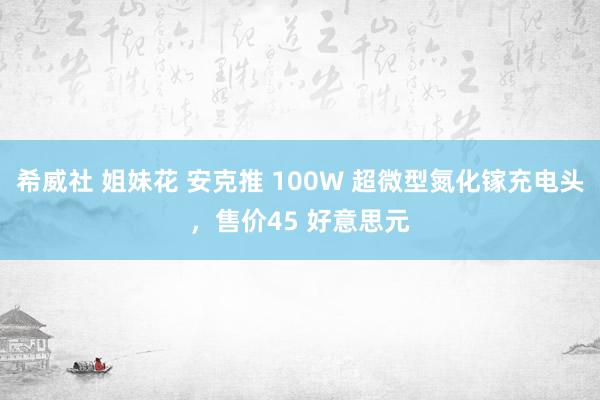 希威社 姐妹花 安克推 100W 超微型氮化镓充电头，售价45 好意思元