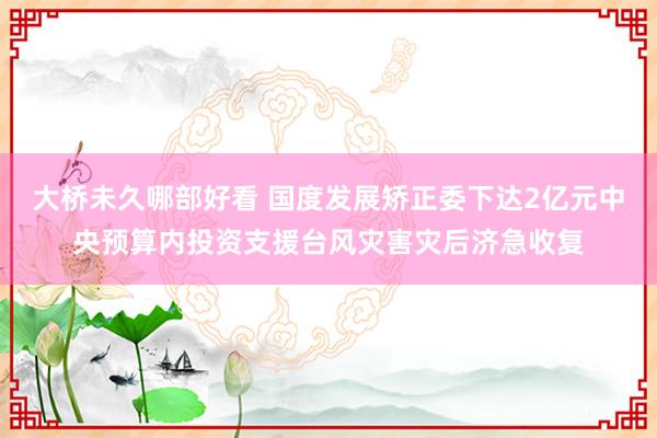 大桥未久哪部好看 国度发展矫正委下达2亿元中央预算内投资支援台风灾害灾后济急收复