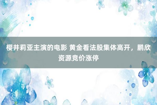 樱井莉亚主演的电影 黄金看法股集体高开，鹏欣资源竞价涨停