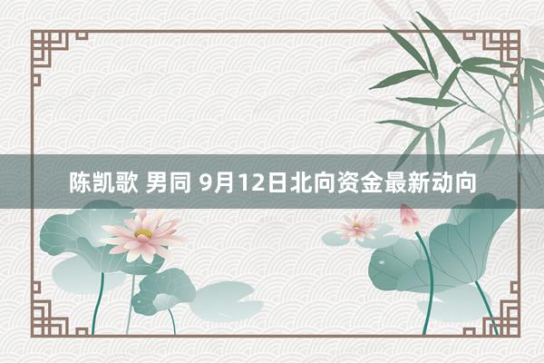 陈凯歌 男同 9月12日北向资金最新动向