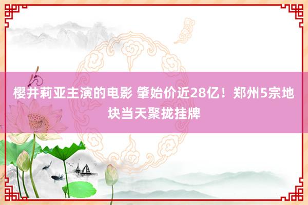 樱井莉亚主演的电影 肇始价近28亿！郑州5宗地块当天聚拢挂牌