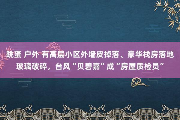 跳蛋 户外 有高层小区外墙皮掉落、豪华栈房落地玻璃破碎，台风“贝碧嘉”成“房屋质检员”