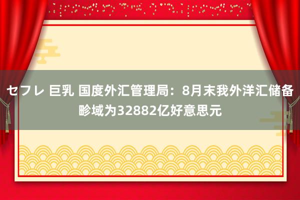 セフレ 巨乳 国度外汇管理局：8月末我外洋汇储备畛域为32882亿好意思元