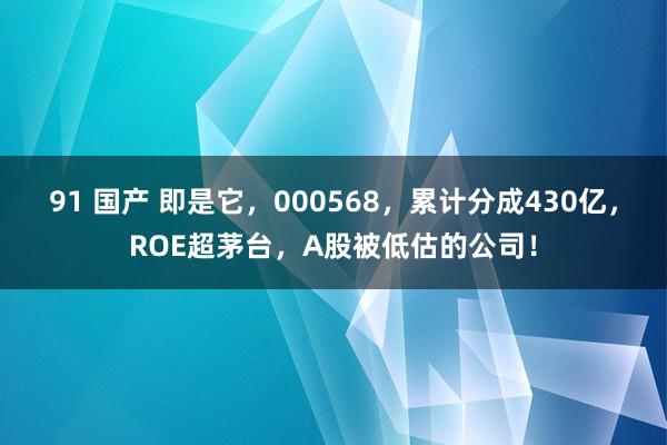 91 国产 即是它，000568，累计分成430亿，ROE超茅台，A股被低估的公司！