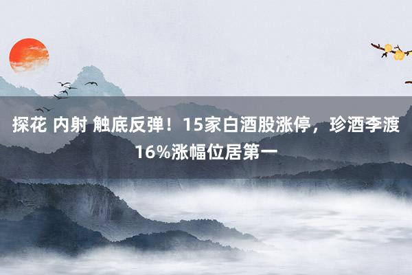 探花 内射 触底反弹！15家白酒股涨停，珍酒李渡16%涨幅位居第一