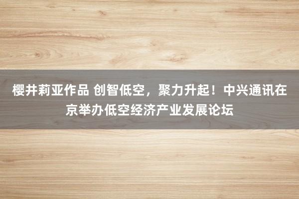 樱井莉亚作品 创智低空，聚力升起！中兴通讯在京举办低空经济产业发展论坛