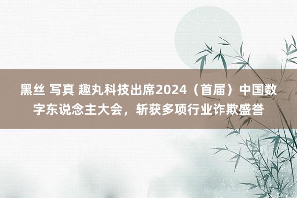 黑丝 写真 趣丸科技出席2024（首届）中国数字东说念主大会，斩获多项行业诈欺盛誉