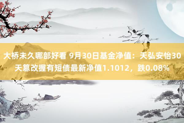 大桥未久哪部好看 9月30日基金净值：天弘安怡30天篡改握有短债最新净值1.1012，跌0.08%