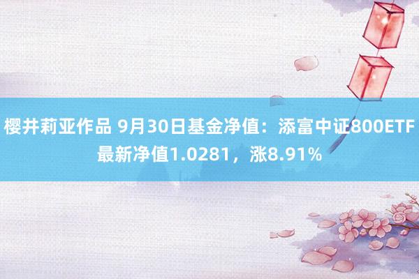 樱井莉亚作品 9月30日基金净值：添富中证800ETF最新净值1.0281，涨8.91%