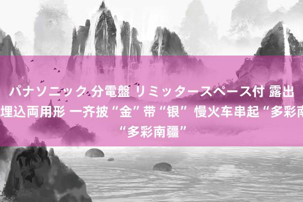 パナソニック 分電盤 リミッタースペース付 露出・半埋込両用形 一齐披“金”带“银” 慢火车串起“多彩南疆”