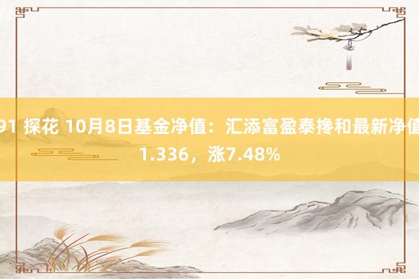 91 探花 10月8日基金净值：汇添富盈泰搀和最新净值1.336，涨7.48%