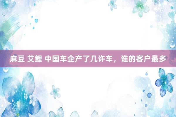 麻豆 艾鲤 中国车企产了几许车，谁的客户最多