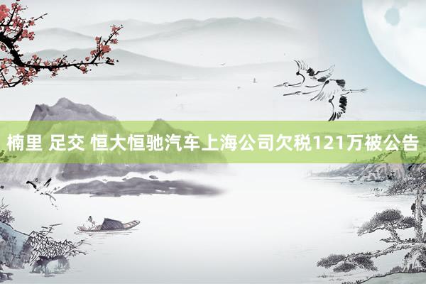 楠里 足交 恒大恒驰汽车上海公司欠税121万被公告