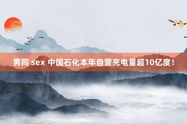 男同 sex 中国石化本年自营充电量超10亿度！