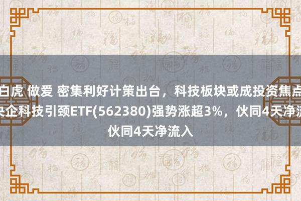 白虎 做爱 密集利好计策出台，科技板块或成投资焦点，央企科技引颈ETF(562380)强势涨超3%，伙同4天净流入