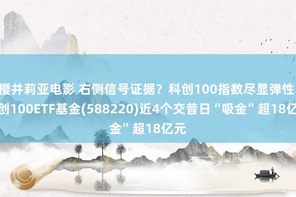 樱井莉亚电影 右侧信号证据？科创100指数尽显弹性 科创100ETF基金(588220)近4个交昔日“吸金”超18亿元