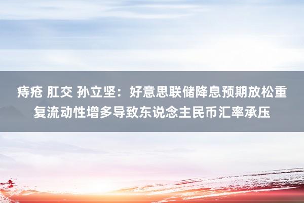 痔疮 肛交 孙立坚：好意思联储降息预期放松重复流动性增多导致东说念主民币汇率承压