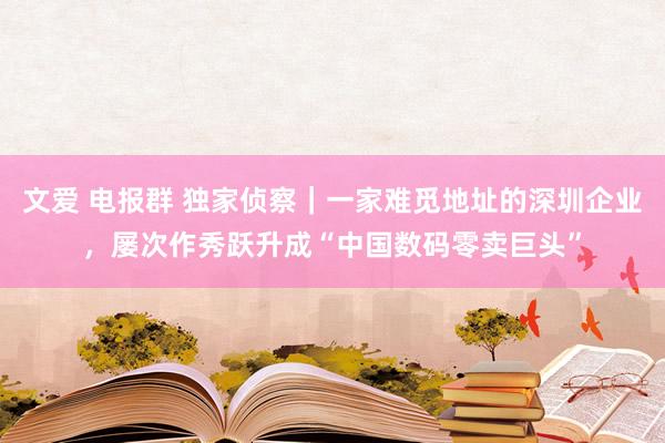 文爱 电报群 独家侦察｜一家难觅地址的深圳企业，屡次作秀跃升成“中国数码零卖巨头”