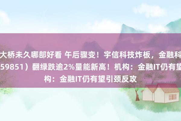 大桥未久哪部好看 午后骤变！宇信科技炸板，金融科技ETF（159851）翻绿跌逾2%量能新高！机构：金融IT仍有望引颈反攻