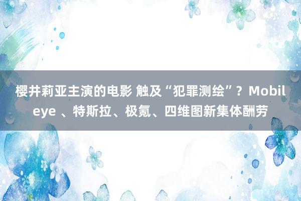 樱井莉亚主演的电影 触及“犯罪测绘”？Mobileye 、特斯拉、极氪、四维图新集体酬劳