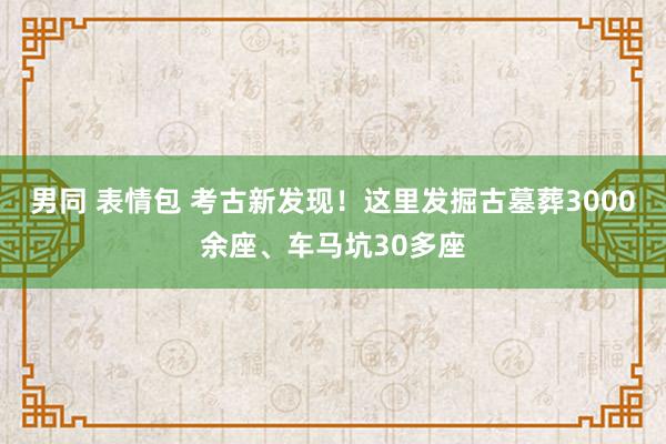 男同 表情包 考古新发现！这里发掘古墓葬3000余座、车马坑30多座