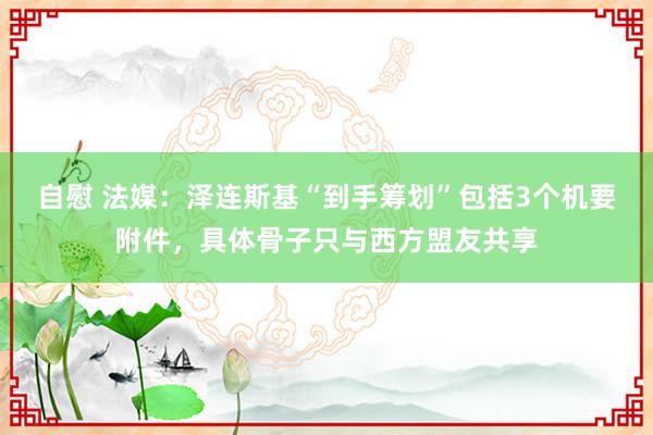 自慰 法媒：泽连斯基“到手筹划”包括3个机要附件，具体骨子只与西方盟友共享