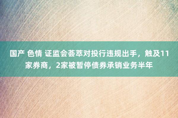 国产 色情 证监会荟萃对投行违规出手，触及11家券商，2家被暂停债券承销业务半年