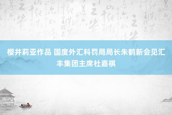 樱井莉亚作品 国度外汇科罚局局长朱鹤新会见汇丰集团主席杜嘉祺