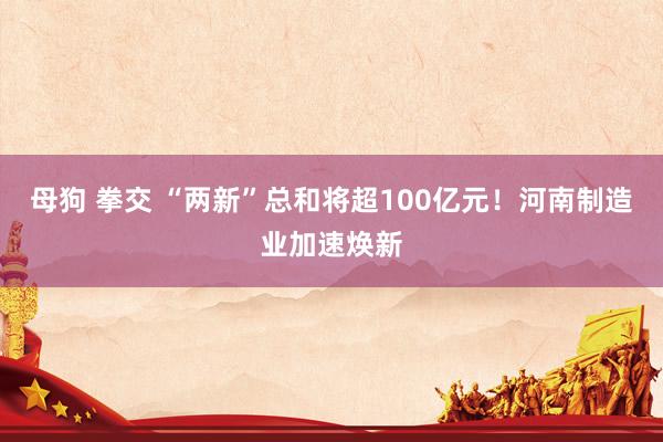 母狗 拳交 “两新”总和将超100亿元！河南制造业加速焕新