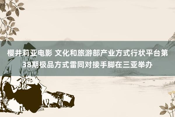 樱井莉亚电影 文化和旅游部产业方式行状平台第38期极品方式雷同对接手脚在三亚举办