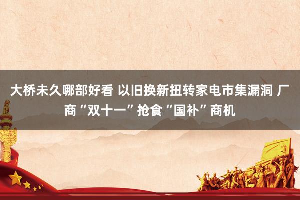 大桥未久哪部好看 以旧换新扭转家电市集漏洞 厂商“双十一”抢食“国补”商机