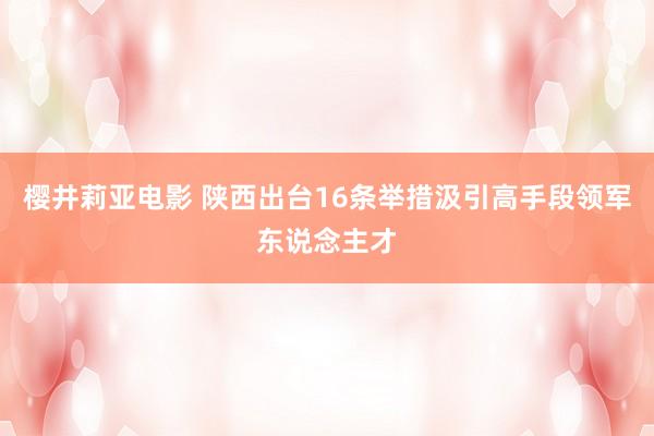 樱井莉亚电影 陕西出台16条举措汲引高手段领军东说念主才