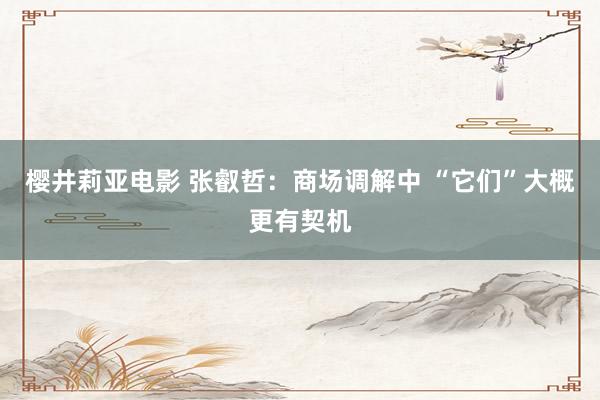 樱井莉亚电影 张叡哲：商场调解中 “它们”大概更有契机