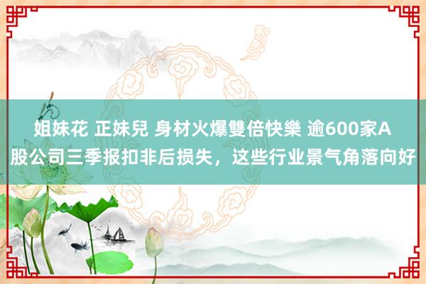 姐妹花 正妹兒 身材火爆雙倍快樂 逾600家A股公司三季报扣非后损失，这些行业景气角落向好