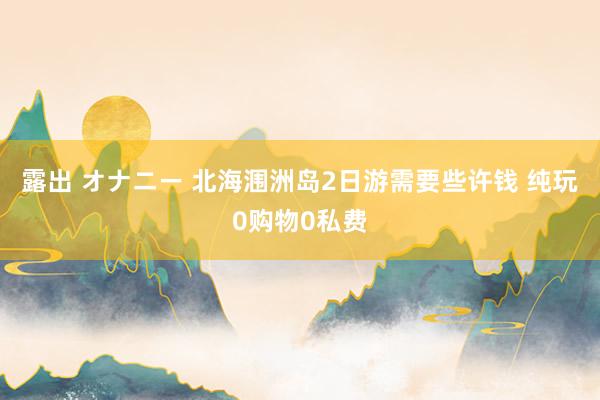 露出 オナニー 北海涠洲岛2日游需要些许钱 纯玩0购物0私费