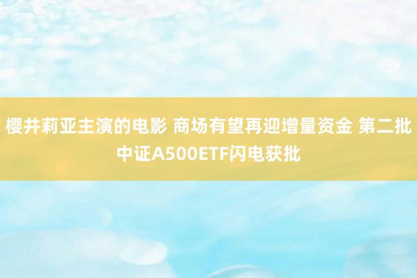 樱井莉亚主演的电影 商场有望再迎增量资金 第二批中证A500ETF闪电获批