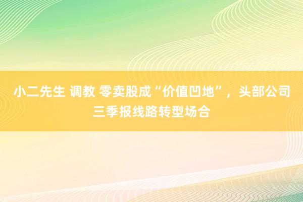 小二先生 调教 零卖股成“价值凹地”，头部公司三季报线路转型场合