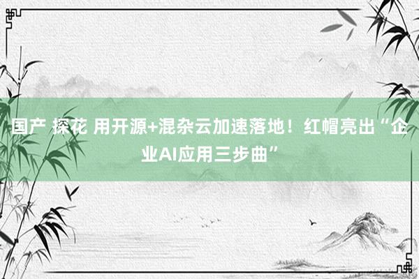 国产 探花 用开源+混杂云加速落地！红帽亮出“企业AI应用三步曲”