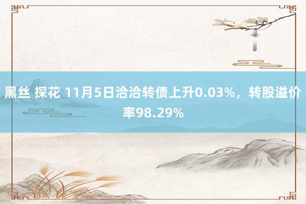 黑丝 探花 11月5日洽洽转债上升0.03%，转股溢价率98.29%