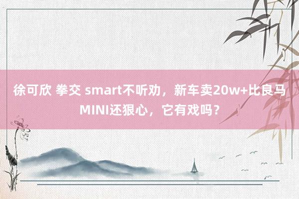 徐可欣 拳交 smart不听劝，新车卖20w+比良马MINI还狠心，它有戏吗？