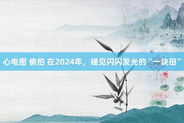 心电图 偷拍 在2024年，碰见闪闪发光的“一块田”