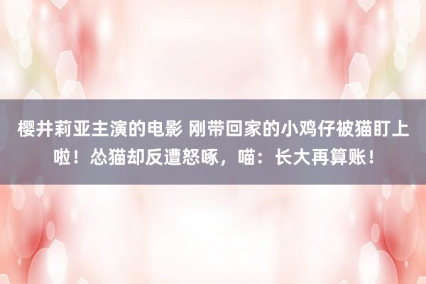 樱井莉亚主演的电影 刚带回家的小鸡仔被猫盯上啦！怂猫却反遭怒啄，喵：长大再算账！