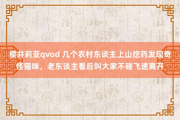 樱井莉亚qvod 几个农村东谈主上山挖药发现奇怪猫咪，老东谈主看后叫大家不碰飞速离开