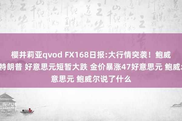 樱井莉亚qvod FX168日报:大行情突袭！鲍威尔“亮剑”特朗普 好意思元短暂大跌 金价暴涨47好意思元 鲍威尔说了什么