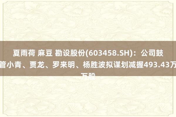 夏雨荷 麻豆 勘设股份(603458.SH)：公司鼓舞管小青、贾龙、罗来明、杨胜波拟谋划减握493.43万股