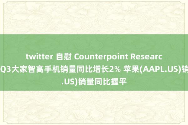 twitter 自慰 Counterpoint Research：2024年Q3大家智高手机销量同比增长2% 苹果(AAPL.US)销量同比握平