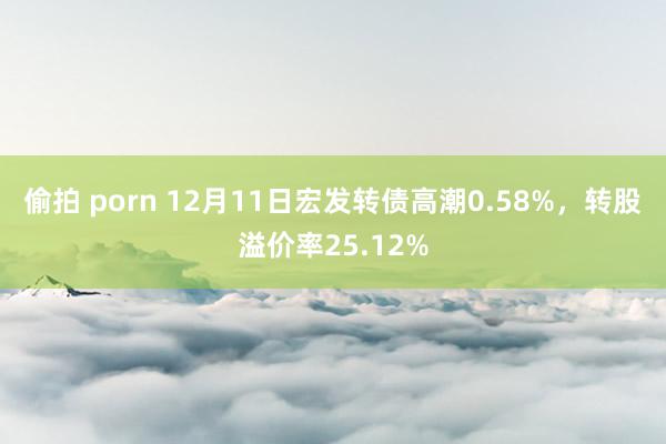 偷拍 porn 12月11日宏发转债高潮0.58%，转股溢价率25.12%