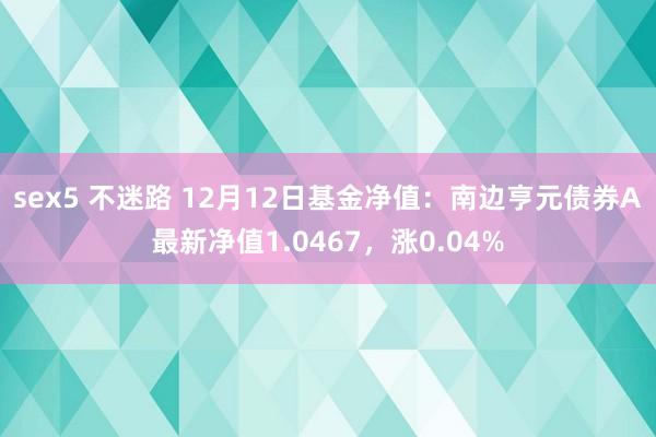 sex5 不迷路 12月12日基金净值：南边亨元债券A最新净值1.0467，涨0.04%